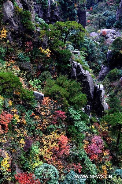 Photo taken on Oct. 22, 2010 shows the autumn scenery of Mount Huangshan, located in east China's Anhui Province. [Xinhua/Shi Guangde]