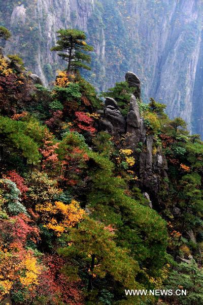 Photo taken on Oct. 22, 2010 shows the autumn scenery of Mount Huangshan, located in east China's Anhui Province. [Xinhua/Shi Guangde]