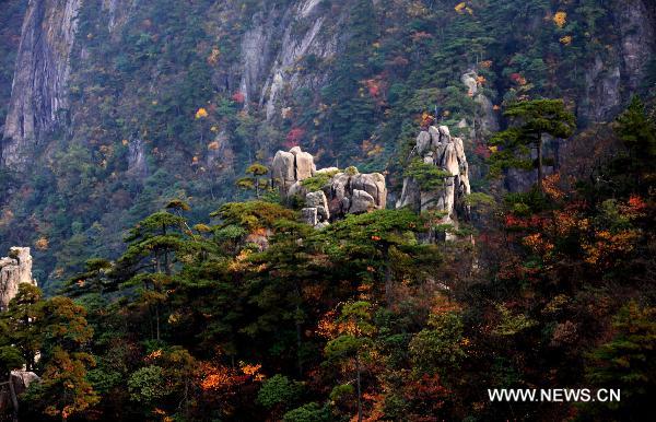 Photo taken on Oct. 22, 2010 shows the autumn scenery of Mount Huangshan, located in east China's Anhui Province. [Xinhua/Shi Guangde]