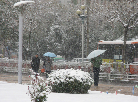 Snowy weather continues in Wuwei, Gansu Province, on October 24, 2010. Temperatures are expected to drop further in much of China over the next three days as the cold wave that swept north China over the weekend heads south, according to the National Meteorological Center. 