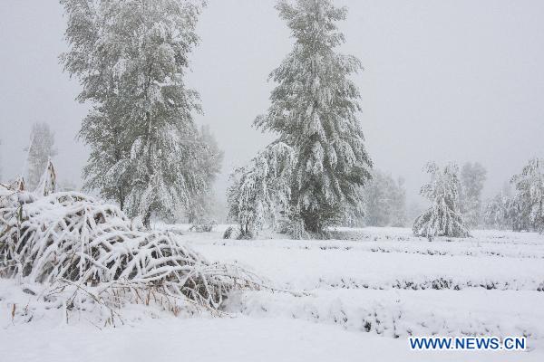 Photo taken on Oct. 24, 2010 shows a snow view in the Ganzhou District of Zhangye, a city in northwest China&apos;s Gansu Province. [Xinhua] 