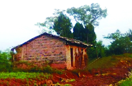 Zhang's home, the brick house built by the village committe.