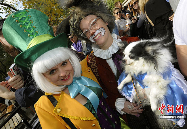 A dog dressed up in costumes during the 20th annual Tompkins Square Park Halloween Dog Parade in New York, October 23, 2010. [Chinanews.com]