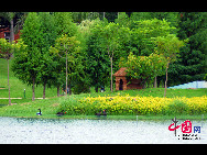 Located at the coastal side of the Pacific Ocean, Xiamen University in Fujian Province is noted for its beautiful scenery, which is praised as the No.1 among the universities in China. On the campus, there is a lake called Furong (Lotus) which even makes the university more charming. [Photo by Zhou Yunjie]