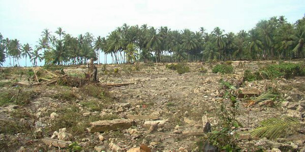 View of the remains of the tsunami-hit Muntei Baru Baru village, where hundreds of homes once stood, in the Cikakap subdistrict of Indonesia&apos;s Mentawai islands October 26, 2010. Planes and helicopters packed with rescue workers and supplies landed for the first time Wednesday on remote Indonesian islands that were pounded by a 10-foot (three-meter) tsunami, sweeping away villages and killing at least 272 people.[China Daily/Agencies]