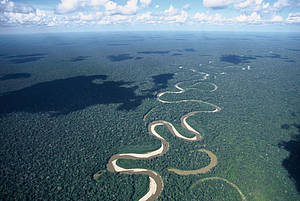 Rio Tamaya. Ucayali, Peru. Amazon lowlands [WWF] 