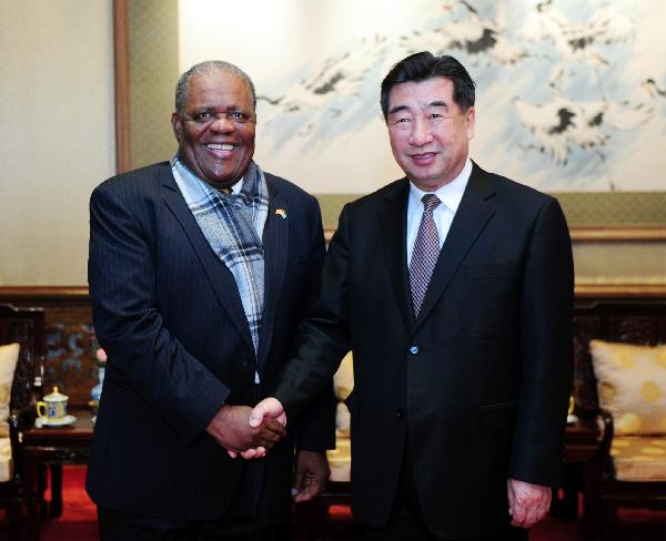 Chinese vice premier vows closer ties with Bahamas