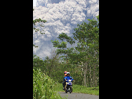 Local residents leave a danger zone as Merapi volcano released ash clouds in Bendo Sari village, Klaten in Central Java of Indonesia on Nov. 1, 2010. [Xinhua]