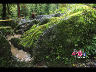 Tiantai Mountain is located in the southwest of Qionglai City of Sichuan Province. Tiantai Mountain has an area of 192 kilometers with the highest peak Yuxiao of 1812-meter altitude. It has a long history, rich cultural landscape, has many temples and other religious sites. [Photo by Shuang Jiang]