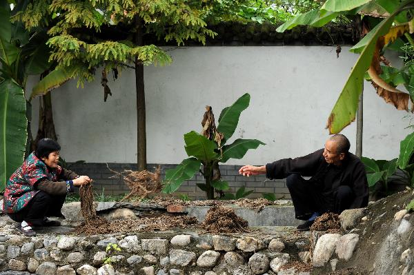 Ma Lingzhong (R) and Wang Qingxia process barks in Longting Town, northwest China's Shaanxi Province, on Oct. 27, 2010. The 73-year-old Ma Lingzhong and 60-year-old Wang Qingxia were two of the few who could make paper in the way Cai Lun, the inventor of paper, did 1,900 years ago. They were invited to show the papermaking process at Cai Lun Paper Culture Museum in Longting Town. [Xinhua photo] 