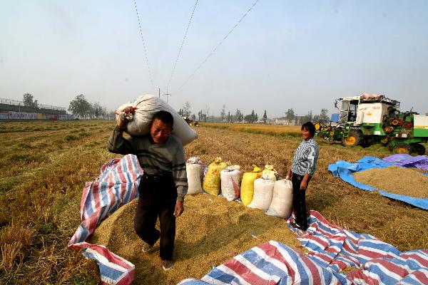 Farmers work in a paddy field in Huaiyuan County of Bengbu, east China&apos;s Anhui Province, Nov. 3, 2010. [Xinhua]