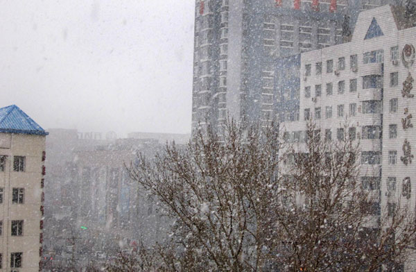 A heavy snow falls in Harbin, capital of Northeast China&apos;s Heilongjiang province, Nov 7, 2010. [Xinhua]