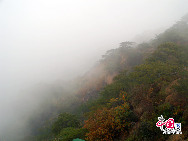 Qianshan National Park is a mountainous national park in Liaoning Province, China. The park is referred to as 'The Northeast Pearl''. The name Qianshan literally means 'Thousand mountains'.The park area of 44 square kilometres, is filled with both Buddhist and Taoist temples, monasteries and nunneries. [Photo by Yu Jiaqi]