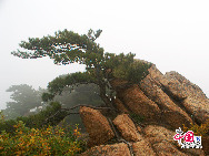 Qianshan National Park is a mountainous national park in Liaoning Province, China. The park is referred to as 'The Northeast Pearl''. The name Qianshan literally means 'Thousand mountains'.The park area of 44 square kilometres, is filled with both Buddhist and Taoist temples, monasteries and nunneries. [Photo by Yu Jiaqi]