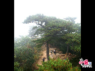 Qianshan National Park is a mountainous national park in Liaoning Province, China. The park is referred to as 'The Northeast Pearl''. The name Qianshan literally means 'Thousand mountains'.The park area of 44 square kilometres, is filled with both Buddhist and Taoist temples, monasteries and nunneries. [Photo by Yu Jiaqi]