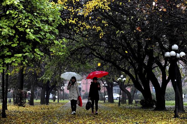 Pedestrians hold umbrellas while walking on a path in Shenyang, capital of northeast China&apos;s Liaoning Province, Nov. 7, 2010. A cold front was sweeping the northern parts of China, causing snowfall or sleet and making the temperature drop in the areas.