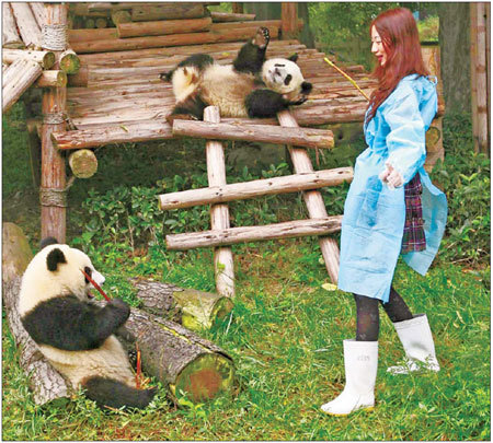 Wang Yu-wen learns all about pandas during a five-week training program in Chengdu, Sichuan province. [China Daily] 