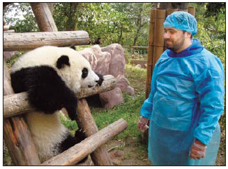 Frenchman David Algranti is cautious about getting close to a panda because getting a playful bite is a constant peril. 
