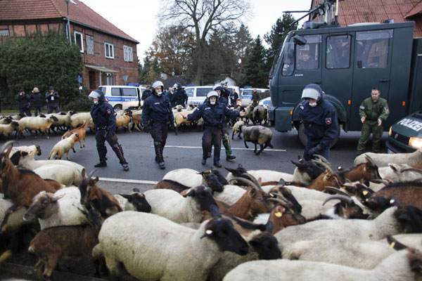 German policemen try to clear the street from sheep and goats in the village of Laase, near the interim nuclear waste storage facility in the northern German village of Gorleben, November 8, 2010. [China Daily/Agencies]