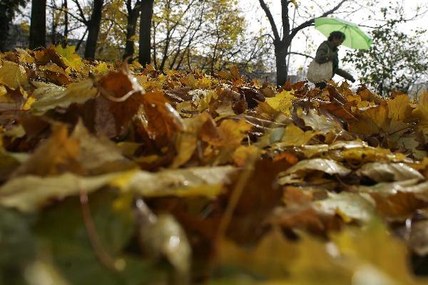 A woman walks on fallen leaves in a park in Sofia, capital of Bulgaria, Nov. 8, 2010. [Xinhua/Velko Angelov]