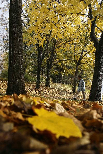 A woman walks in a park in Sofia, capital of Bulgaria, Nov. 8, 2010. [Xinhua/Velko Angelov]