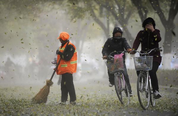 Cyclists make their way in strong winds in Yinchuan, capital of Nortwhest China&apos;s Ningxia Hui autonomous region Nov 10, 2010. The Ningxia Meteorological Office has issued a gale alert. [Xinhua]