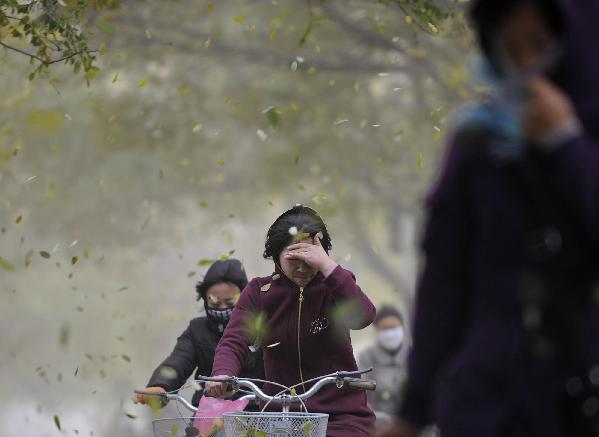 Cyclists make their way in strong winds in Yinchuan, Nortwhest China&apos;s Ningxia Hui autonomous region Nov 10, 2010. [Xinhua]