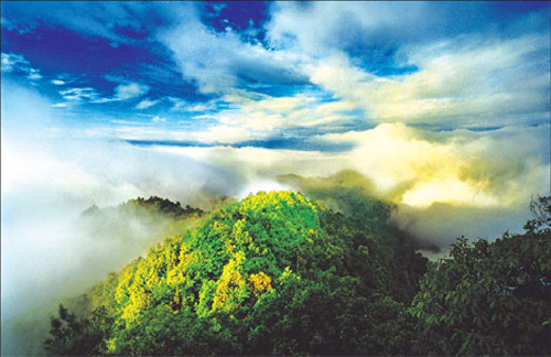 Niumulin, in Yongchun county, boasts one of the best virgin forests in Fujian province. [Source: China Daily/Wu Yunxuan]