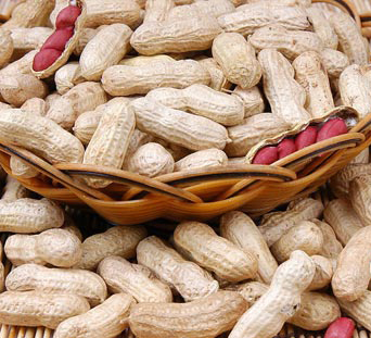 Top 10 healthy foods