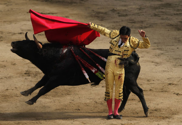 Peru&apos;s bullfighter Juan Carlos Cubas performs a pass on a bull during a bullfight at Peru&apos;s historic Plaza de Acho bullring in Lima November 14, 2010. [Xinhua/Reuters]
