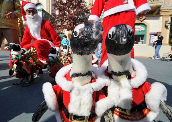 Penguins dressed in Santa Claus costumes parade during a promotional event at the Everland amusement park in Yongin, south of Seoul, on November 16, 2010.