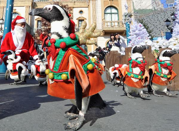 Penguins dressed in Santa Claus costumes parade during a promotional event at the Everland amusement park in Yongin, south of Seoul, on November 16, 2010.