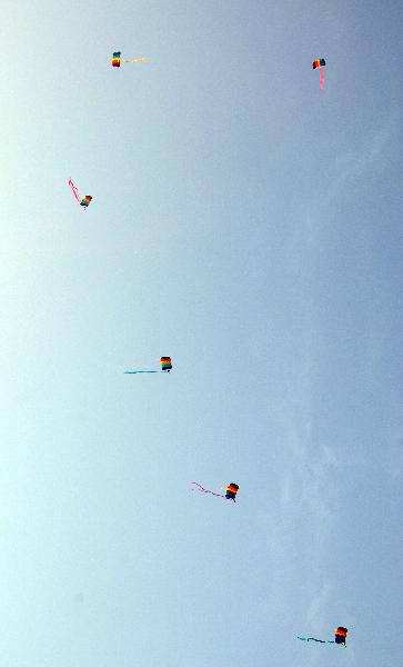 Members of the parachute team of the Air Force of the Chinese People&apos;s Liberation Army (PLA) perform during the 8th China International Aviation and Aerospace Exhibition in Zhuhai City, south China&apos;s Guangdong Province, Nov. 17, 2010. [Xinhua] 