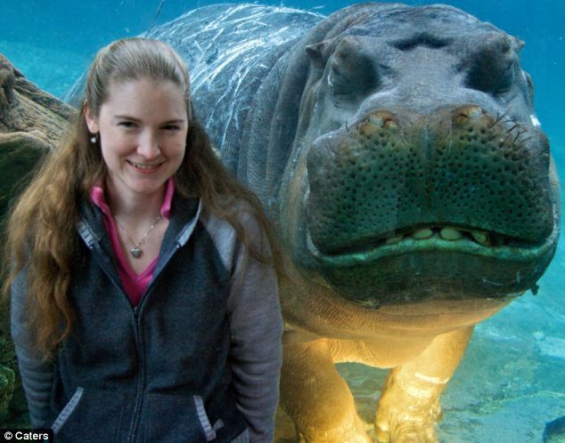 The smiling hippo has become an internet sensation. [Agencies]