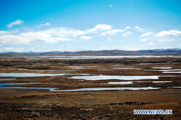 Photo taken on Nov. 12, 2010 shows wetland in Sanjiangyuan National Nature Reserve located in northwest China's Qinghai Province. The reserve, containing the headwaters of the Yellow River, the Yangtze River and the Mekong River, is famous for its beautiful scenery. [Xinhua/Wu Guangyu]