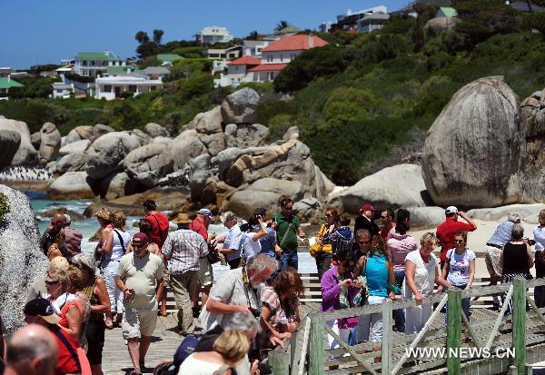 Tourists appreciate penguins at &apos;Penguin Beach&apos; on the east coast of Capetown, South Africa, Nov. 15, 2010. The &apos;Penguin Beach&apos;, which was initially established in 1982 with less than 10 penguins, has already have more than 4000 penguins now due to the protection of local residents and government.