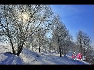 Photo taken on Nov. 18, 2010 shows a beautiful rime scene at Daqing City, northeast China's Heilongjiang Province, which attracted plenty of touirsts and photographers nationwide. [Photo by Tian Gao]
