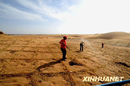 People are planting trees and grass to prevents the desert from expanding. [Xinhua File photo]