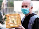 Hong Kong bird flu patients condition improves