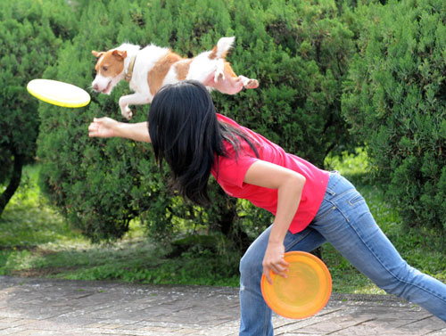 A woman plays frisbee catch with her dog at Yixian Park in Taipei, Taiwan, Nov 21, 2010. [Xinhua]