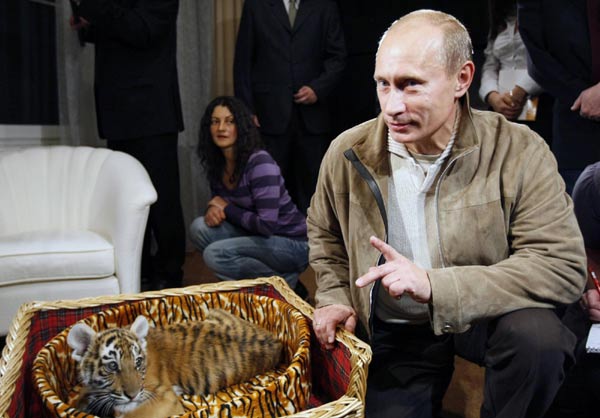 Russia&apos;s Prime Minister Vladimir Putin shows a tiger cub to journalists at his Novo Ogaryovo residence outside Moscow on this October 9, 2008 file picture. 