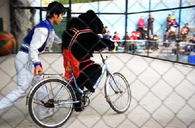 A black bear rides a bicycle as part of a show at Zhengzhou Zoo. The shows will be banned from January.