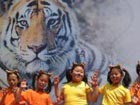 Protecting tigers priority in China