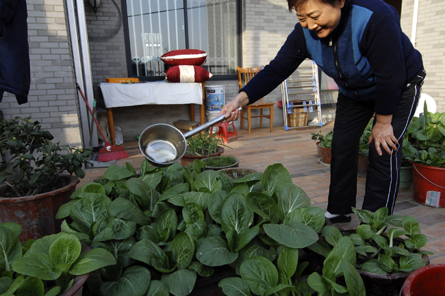 A woman waters home-grown vegetables at her balcony-turned vegetable garden in Hefei, capital of east China&apos;s Anhui Province, Nov. 23, 2010. With runaway inflation squeezing the income of Chinese people, citizens like those in Hefei started growing vegetables at home themselves to combat rising commodity prices. [Xinhua] 