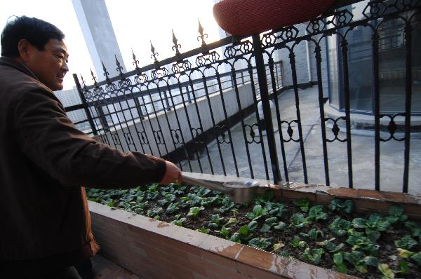 A man waters home-grown vegetables at her balcony-turned vegetable garden in Hefei, capital of east China&apos;s Anhui Province, Nov. 23, 2010. With runaway inflation squeezing the income of Chinese people, citizens like those in Hefei started growing vegetables at home themselves to combat rising commodity prices. [Xinhua]