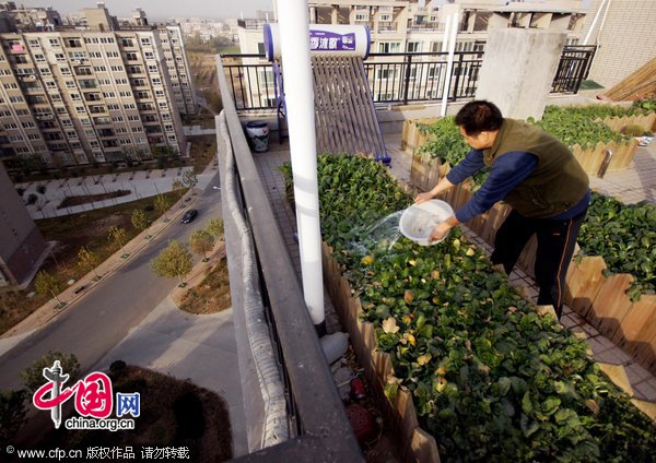 A man waters home-grown vegetables at his balcony-turned vegetable garden in Zhengzhou, central China&apos;s Henan province, Nov. 22, 2010. With runaway inflation squeezing the income of Chinese people, citizens like those in Hefei started growing vegetables at home themselves to combat rising commodity prices. [CFP]