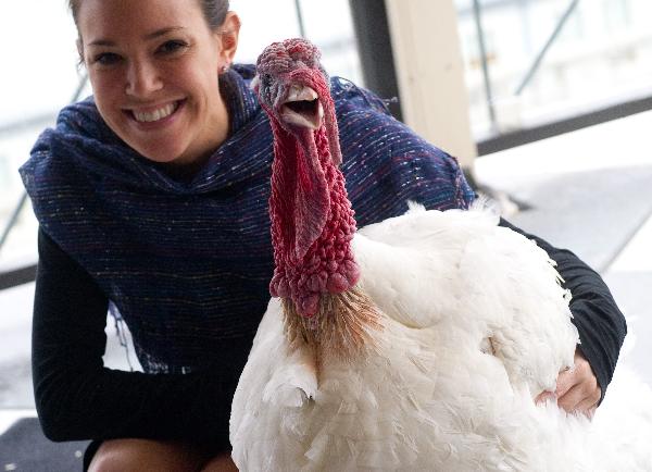 A hotel employee takes photo with a turkey in a hotel in Washington, DC, Nov. 23, 2010. It together with another turkey will be pardoned by U.S. President Barack Obama during the annual turkey pardoning ceremony for Thanksgiving in the White House on Nov, 24, 2010. [Xinhua/AFP]