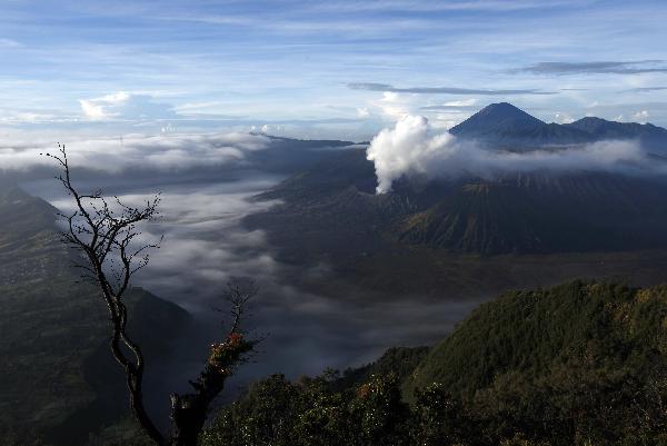 Indonesia has issued a 'red alert' for an eruption at Mount Bromo volcano in eastern Java, less than a month after Mount Merapi volcano killed more than 300 people. [Xinhua]