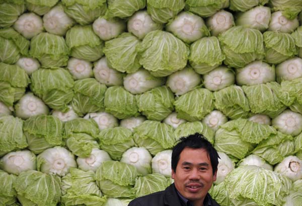 A vendor sits in front of a pile of Chinese cabbage as he waits for customers at Xinfadi open-air wholesale market in Beijing Nov 23, 2010. [China Daily via agencies]