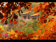 The Taihang Mountains are a Chinese mountain range running down the eastern edge of the Loess Plateau in Henan, Shanxi and Hebei provinces. The range extends over 400 km from north to south and has an average elevation of 1,500 to 2,000 meters. Deep in the Taihang Mountains, there are many small villages. [Photo by Zhang Jiansheng]